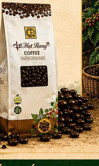 Cà phê hạt rang CF15 dùng cho máy pha espresso